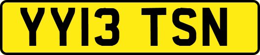 YY13TSN