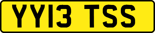 YY13TSS