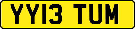 YY13TUM