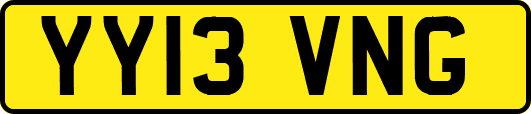 YY13VNG