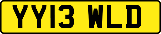 YY13WLD
