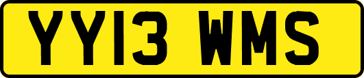 YY13WMS