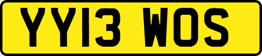 YY13WOS