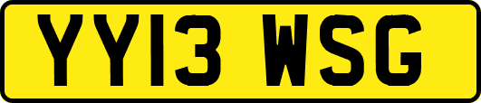 YY13WSG
