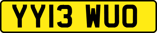 YY13WUO