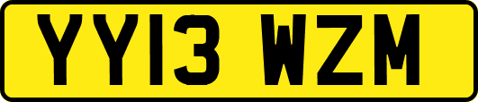 YY13WZM