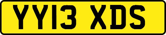 YY13XDS