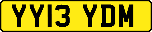 YY13YDM