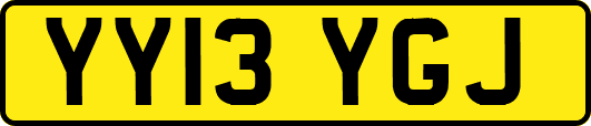 YY13YGJ