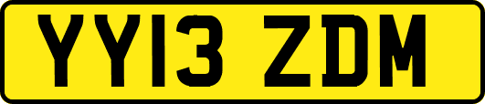 YY13ZDM