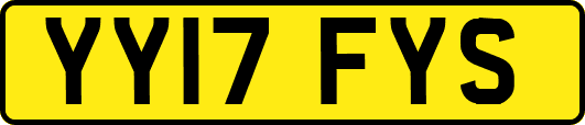 YY17FYS