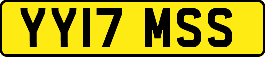 YY17MSS