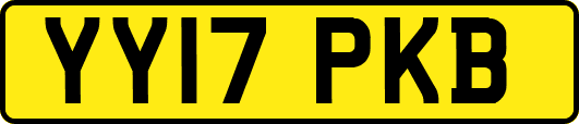 YY17PKB