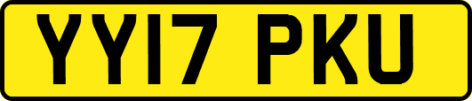 YY17PKU