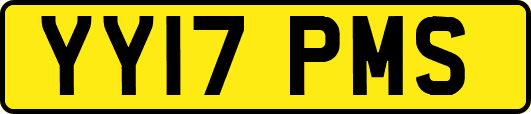 YY17PMS