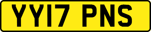 YY17PNS