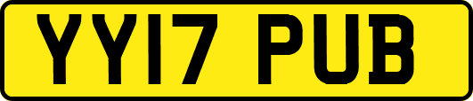 YY17PUB
