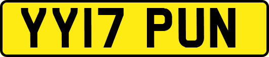 YY17PUN