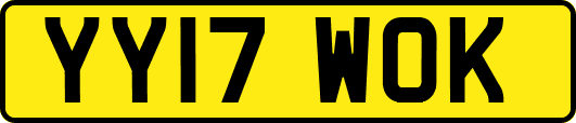 YY17WOK