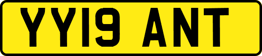 YY19ANT