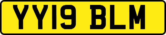 YY19BLM