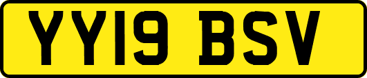 YY19BSV