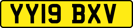 YY19BXV