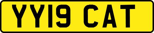 YY19CAT