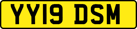 YY19DSM