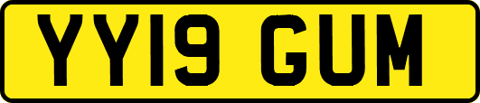 YY19GUM