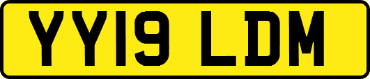 YY19LDM