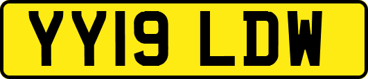 YY19LDW