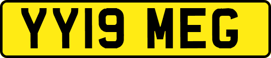 YY19MEG