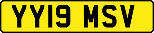 YY19MSV