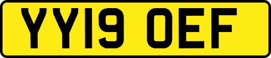 YY19OEF