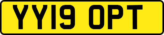 YY19OPT