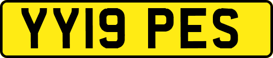 YY19PES
