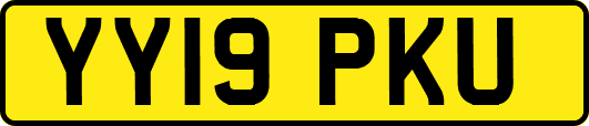 YY19PKU