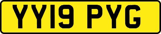 YY19PYG