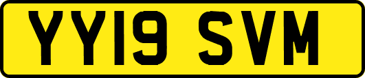YY19SVM
