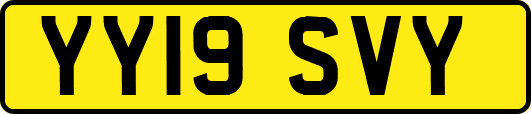 YY19SVY