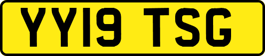 YY19TSG