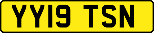 YY19TSN