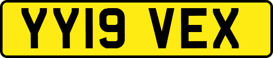 YY19VEX