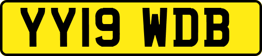 YY19WDB