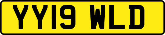YY19WLD
