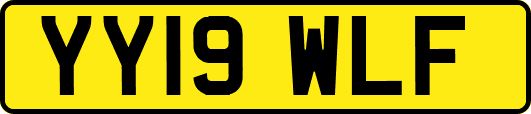 YY19WLF