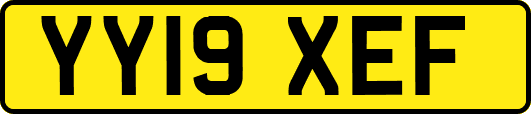 YY19XEF
