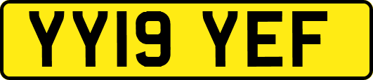 YY19YEF