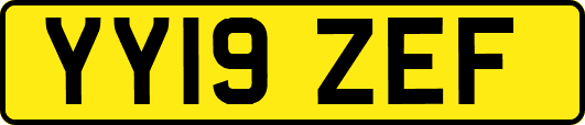 YY19ZEF